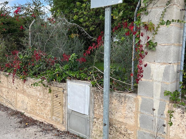 Building Plot with Building Project granted in Selva , Selva, Baleares 20