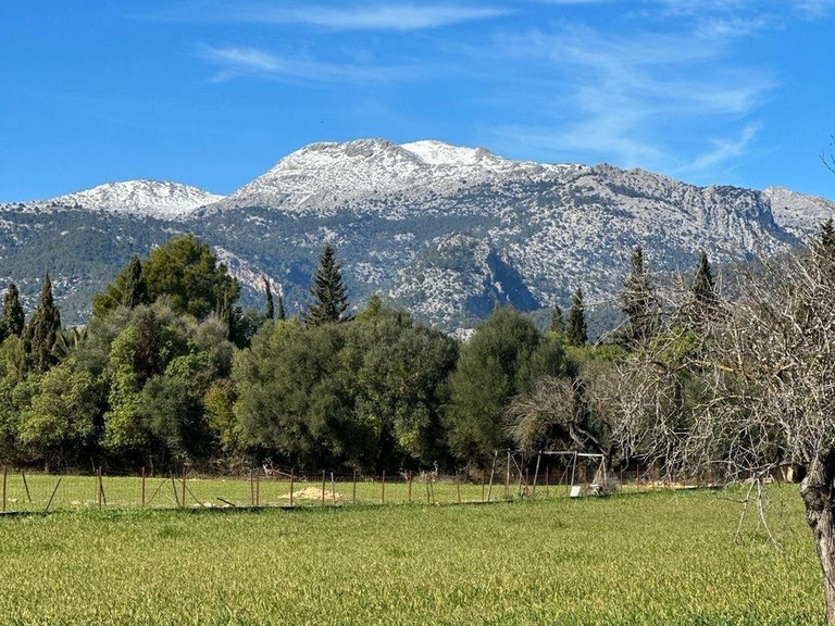 Building Plot with Building Project granted in Selva , Selva, Baleares 21