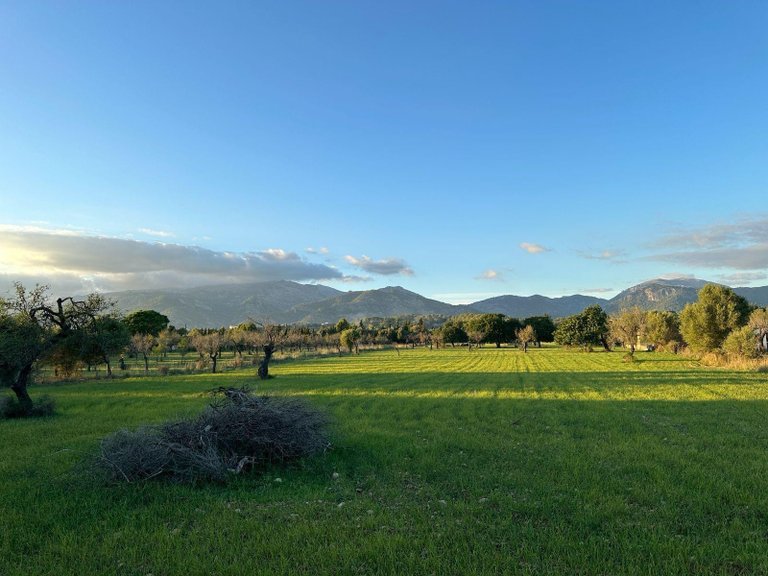 Building Plot with Building Project granted in Selva , Selva, Baleares 23
