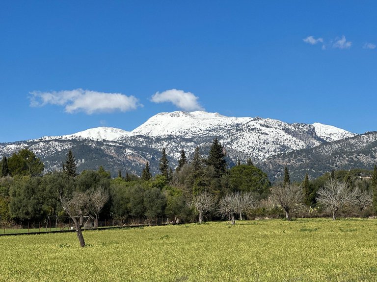 Building Plot with Building Project granted in Selva , Selva, Baleares 27