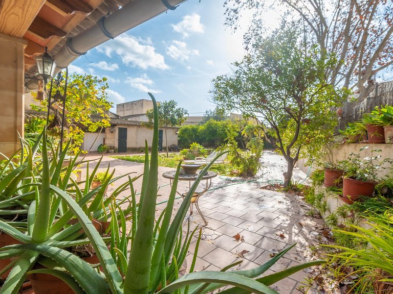 4-bed house with garden in Son Sardina , Palma de Mallorca, Baleares 9