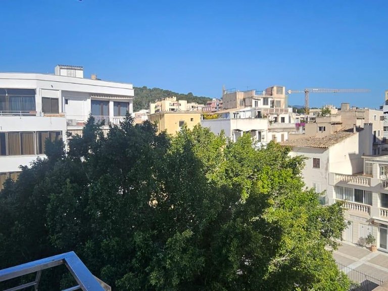 Apartment with terraces to renovate in El Terreno with side sea views , Palma de Mallorca, Baleares 13