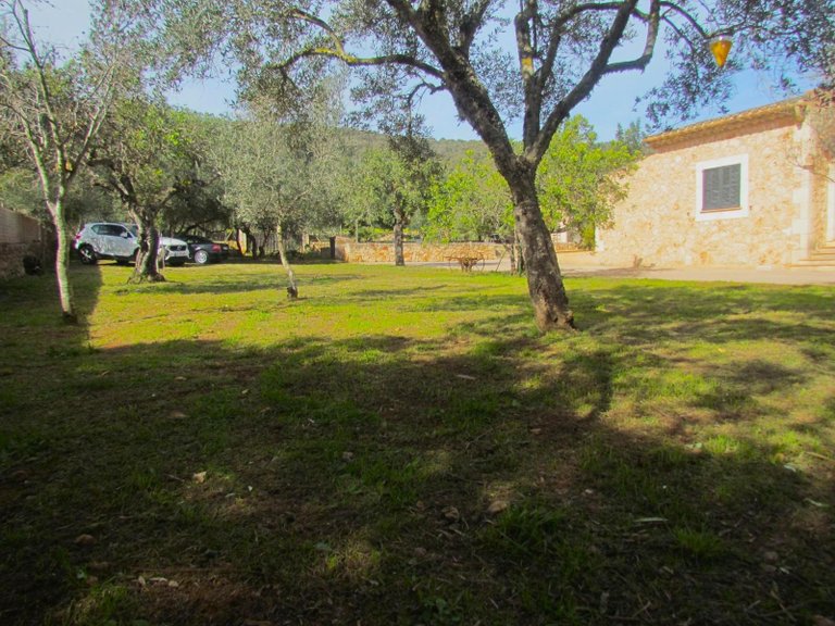 Spectacular Country Estate with Garden, Pool, Barbecue, and Parking in Santa Eugenia , Santa Eugènia, Baleares 7