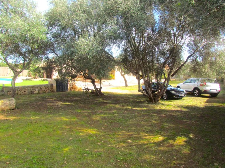 Spectacular Country Estate with Garden, Pool, Barbecue, and Parking in Santa Eugenia , Santa Eugènia, Baleares 8