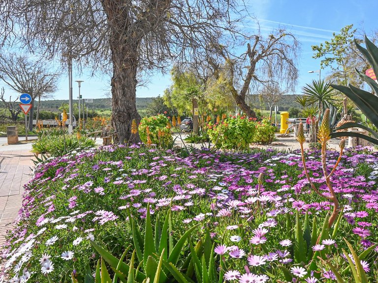Charming, nearly new flat in Son Ferrer, 5 minutes from the beach , Calvià, Baleares 16