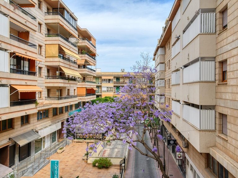 A stately 4-bedroom flat on a splendid street in the centre of Palma , Palma de Mallorca, Baleares 3