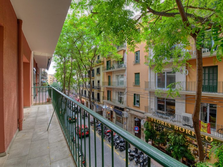 A stately 4-bedroom flat on a splendid street in the centre of Palma , Palma de Mallorca, Baleares 4