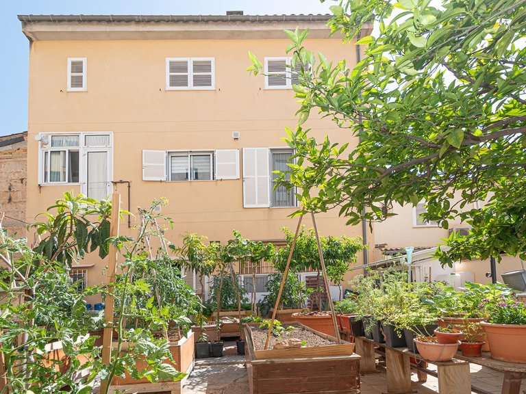 Spectacular detached house comprising two separate dwellings with great potential in Son Canals, Palma , Palma de Mallorca, Baleares 1