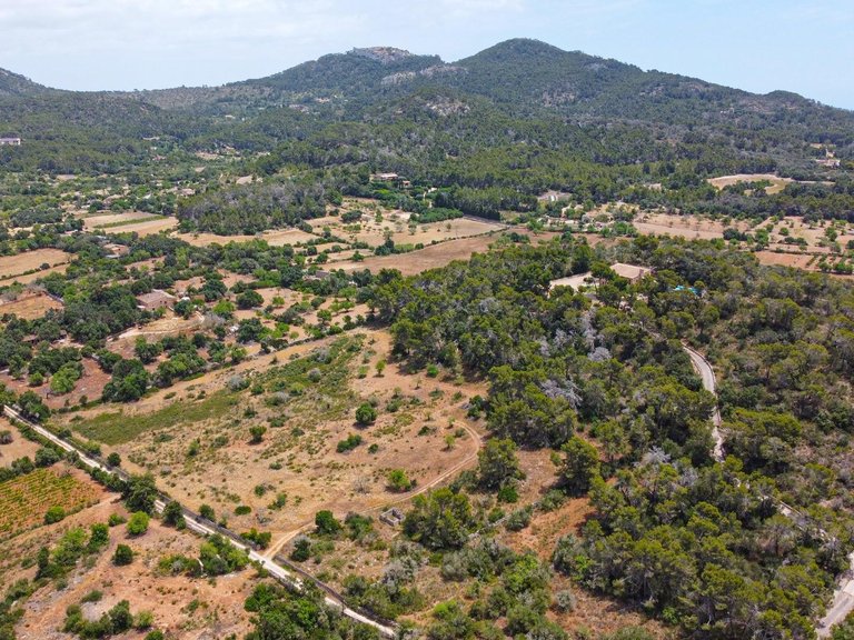Rural plot with preliminary plans for a villa in Cas Concos , Felanitx, Baleares 10