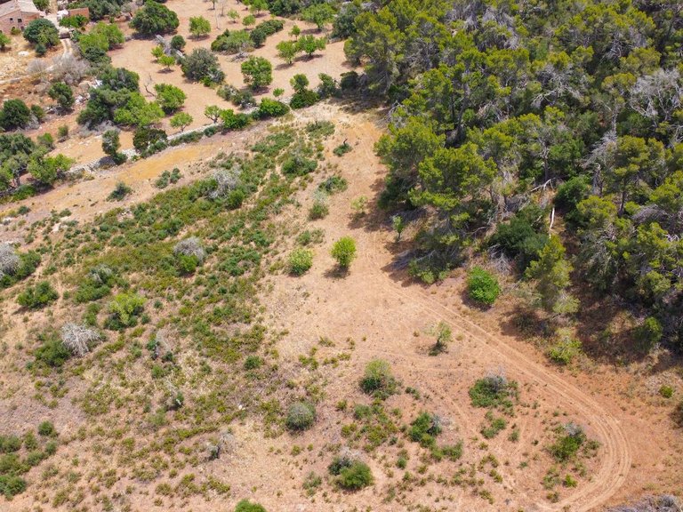 Rural plot with preliminary plans for a villa in Cas Concos , Felanitx, Baleares 11