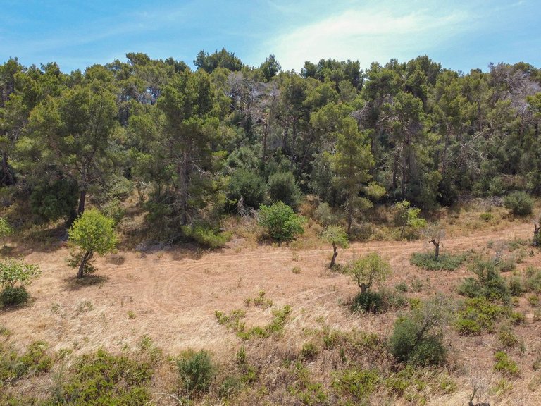 Rural plot with preliminary plans for a villa in Cas Concos , Felanitx, Baleares 14