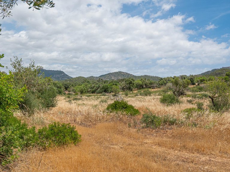 Rural plot with preliminary plans for a villa in Cas Concos , Felanitx, Baleares 16