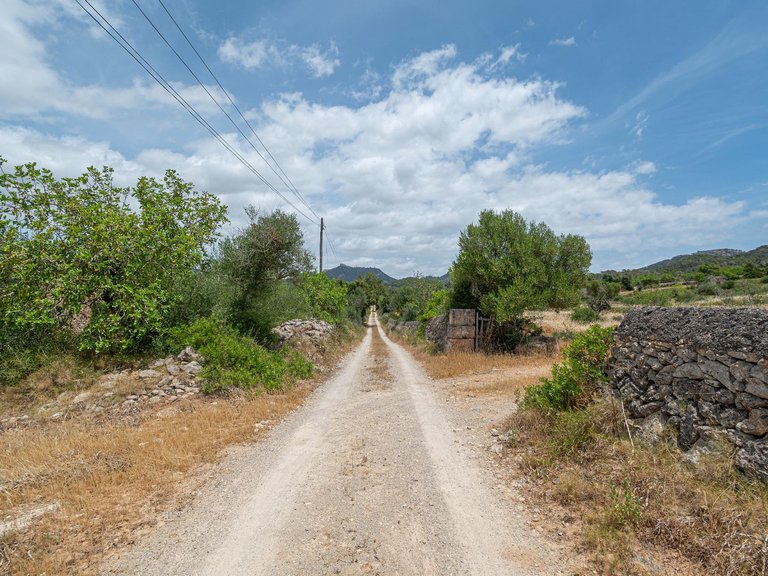 Rural plot with preliminary plans for a villa in Cas Concos , Felanitx, Baleares 18