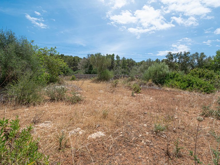 Rural plot with preliminary plans for a villa in Cas Concos , Felanitx, Baleares 19