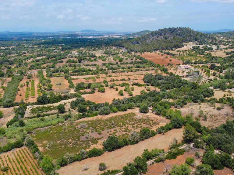 Rural plot with preliminary plans for a villa in Cas Concos , Felanitx, Baleares 2