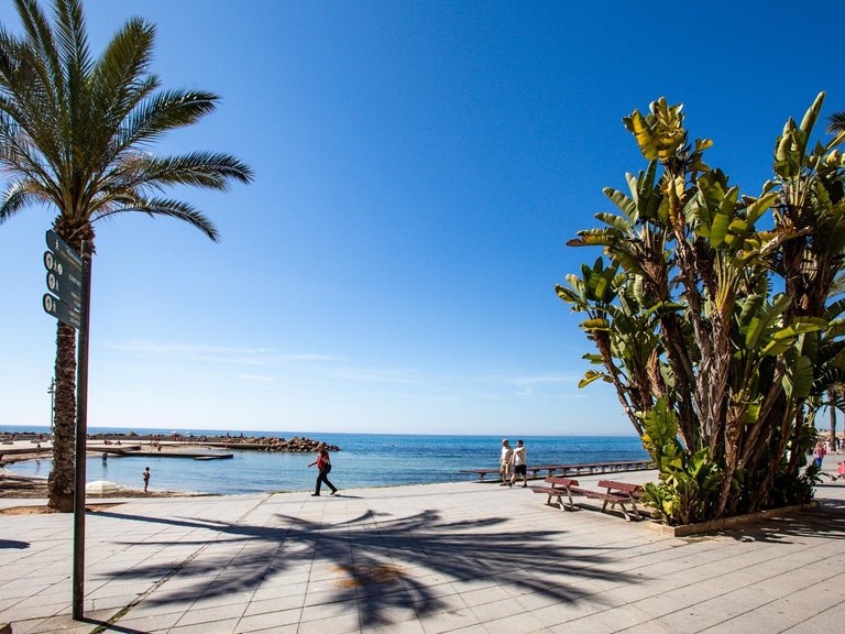 Apartment for Sale in Costa Blanca Torrevieja, Alicante 29