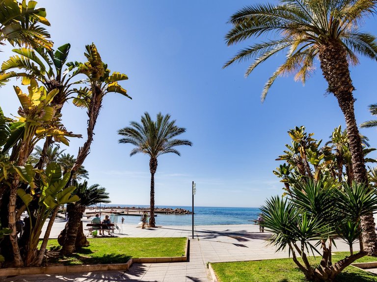 Apartment for Sale in Costa Blanca Torrevieja, Alicante 29