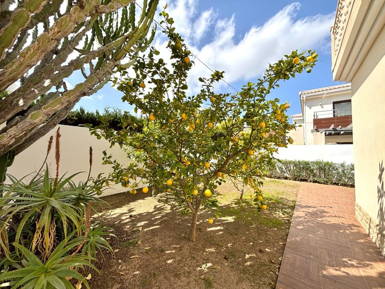 Villa for Sale in Costa Blanca Cabo Roig, Alicante 7