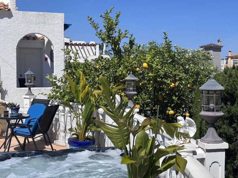 Town House for Sale in Costa Blanca Torrevieja, Alicante 23