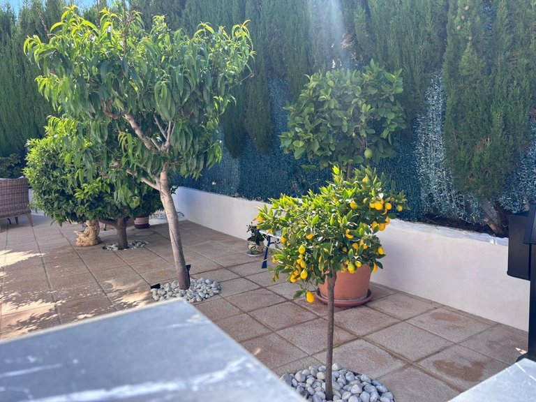 Town House for Sale in Costa Blanca Torrevieja, Alicante 31