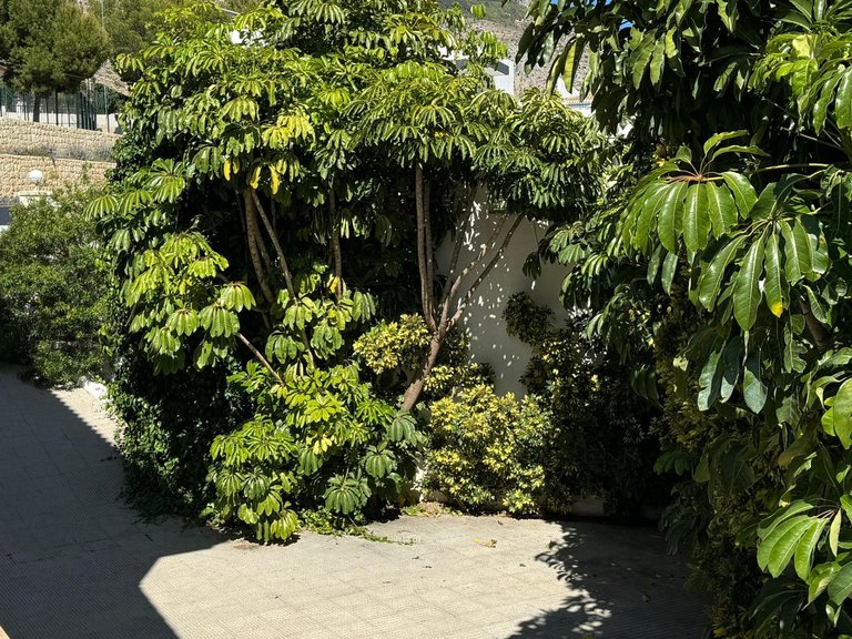 Villa for Sale in Costa Blanca Altea, Alicante 33