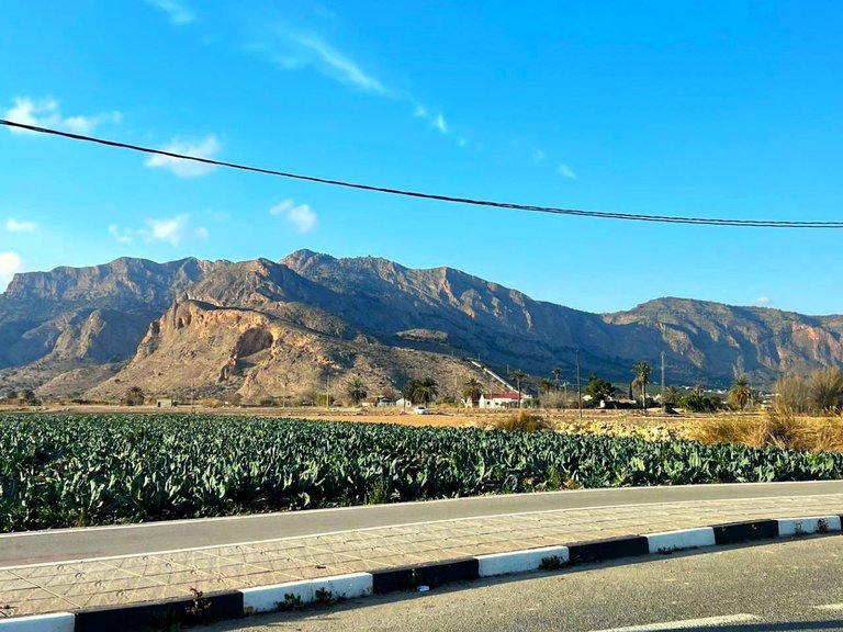 Villa for Sale in Inland Orihuela, Alicante 50