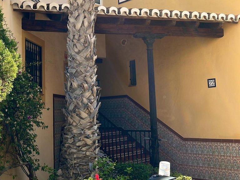 Penthouse for Sale in Costa Blanca Torrevieja, Alicante 17