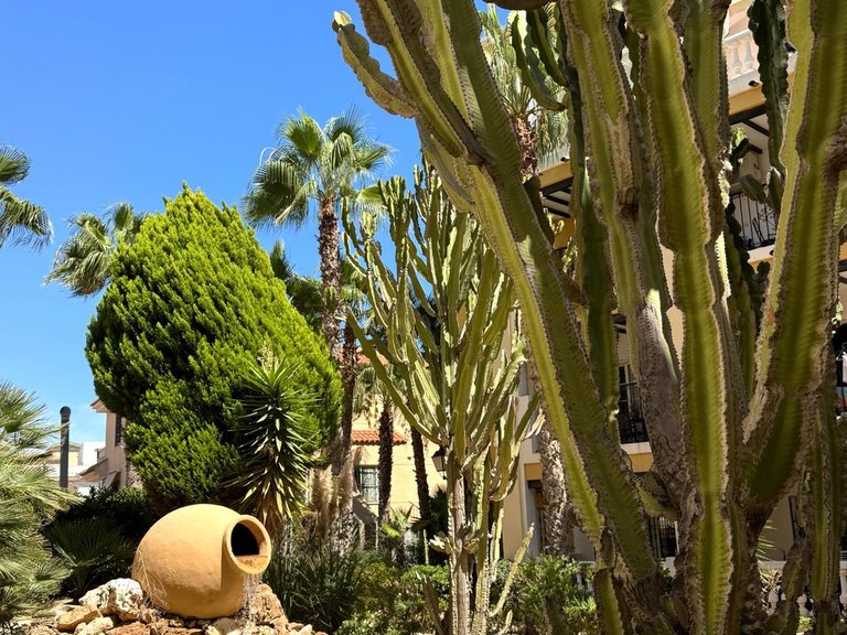 Penthouse for Sale in Costa Blanca Torrevieja, Alicante 37