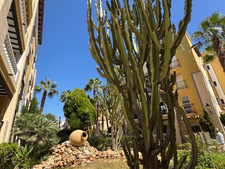 Penthouse for Sale in Costa Blanca Torrevieja, Alicante 38