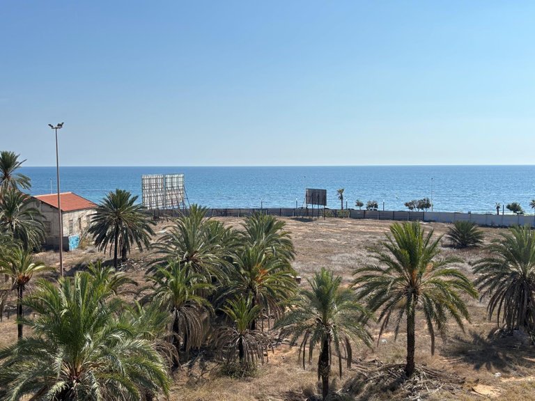 Apartment for Sale in Costa Blanca Torrevieja, Alicante 13