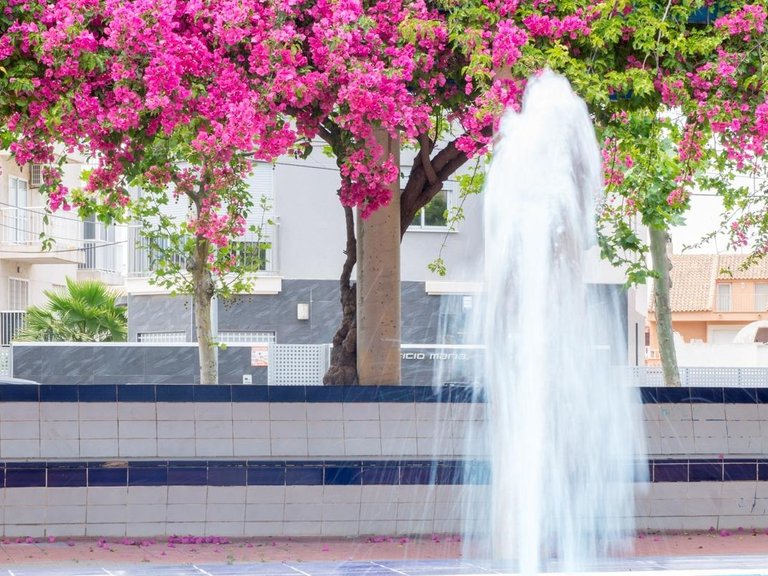 Apartment for Sale in Costa Blanca Torrevieja, Alicante 3