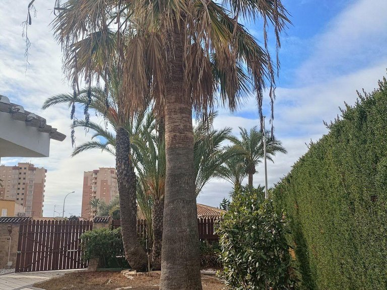 Villa for Sale in Costa Blanca Orihuela Costa, Alicante 26