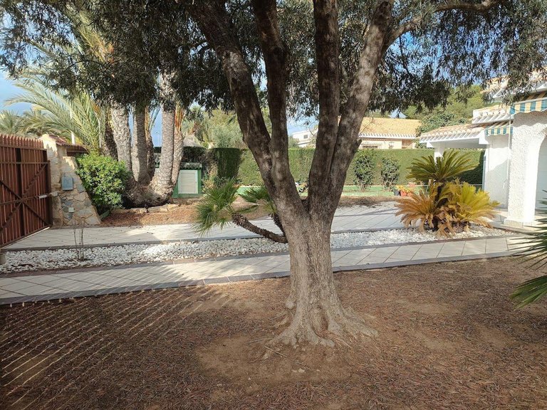 Villa for Sale in Costa Blanca Orihuela Costa, Alicante 27