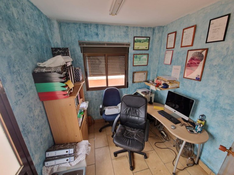 Commercial for Sale in Costa Blanca Torrevieja, Alicante 14