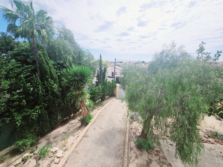 Villa for Sale in Costa Blanca Torrevieja, Alicante 5