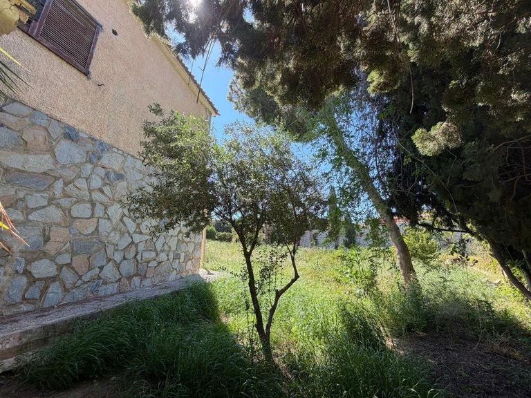 Villa for Sale in Costa Blanca Torrevieja, Alicante 36