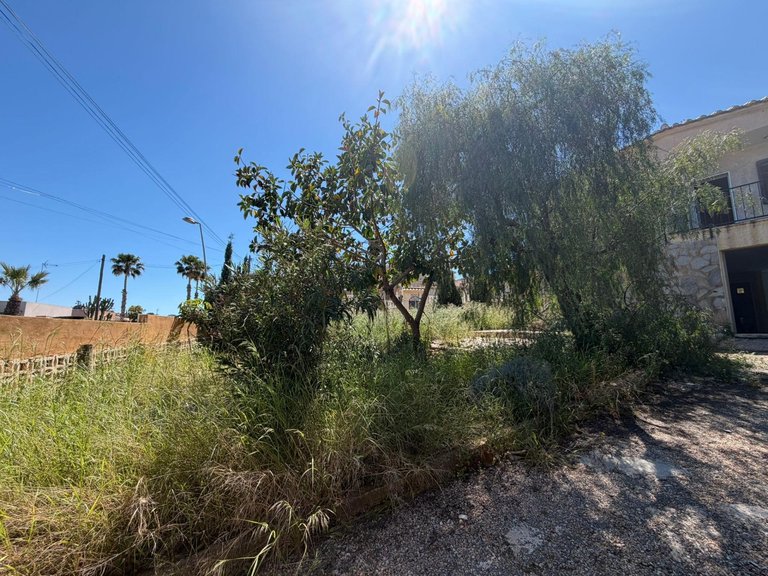 Villa for Sale in Costa Blanca Torrevieja, Alicante 5