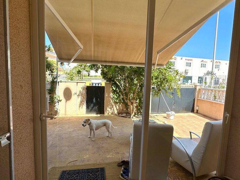 Villa for Sale in Costa Blanca Orihuela Costa, Alicante 16