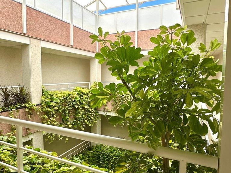 Penthouse for Sale in Torrevieja, Alicante 25