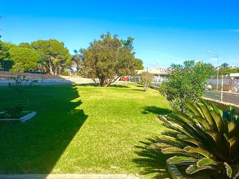Apartment for Sale in Costa Blanca Orihuela Costa, Alicante 5