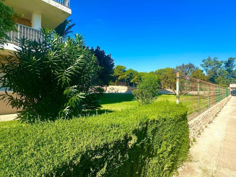 Apartment for Sale in Costa Blanca Orihuela Costa, Alicante 7