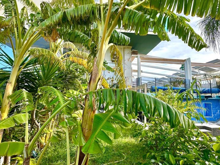 Apartment for Sale in Costa Blanca Finestrat, Alicante 29