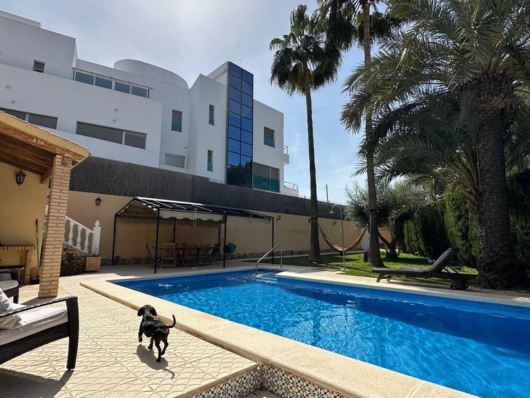 Villa for Sale in Torrevieja, Alicante 11