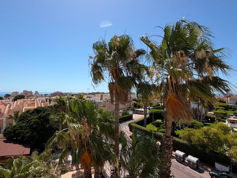 Apartment for Sale in Torrevieja, Alicante 35