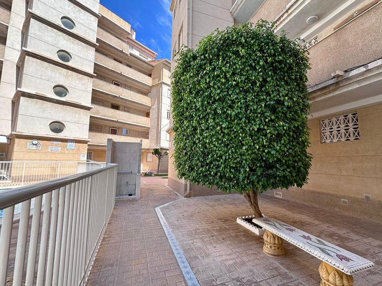 Apartment for Sale in Torrevieja, Alicante 35