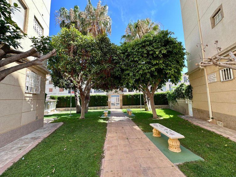 Apartment for Sale in Torrevieja, Alicante 36