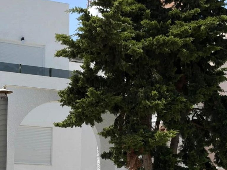 Town House for Sale in Torrevieja, Alicante 7