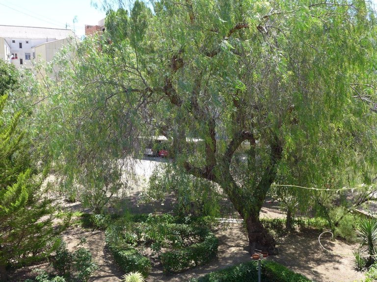 Villa for Sale in Inland Cocentaina, Alicante 30