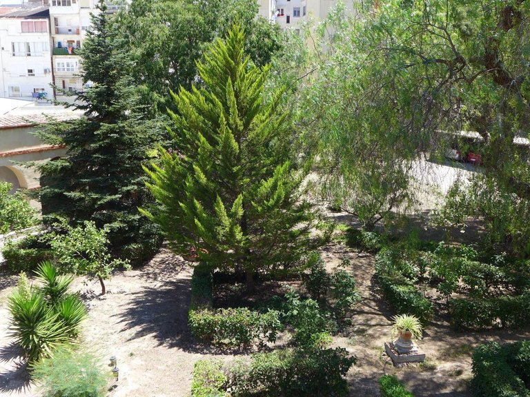 Villa for Sale in Inland Cocentaina, Alicante 31