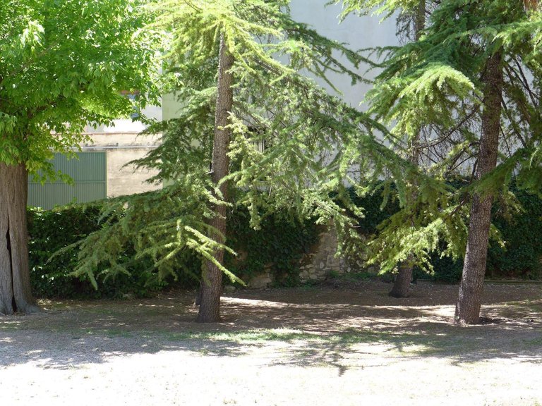 Villa for Sale in Inland Cocentaina, Alicante 32